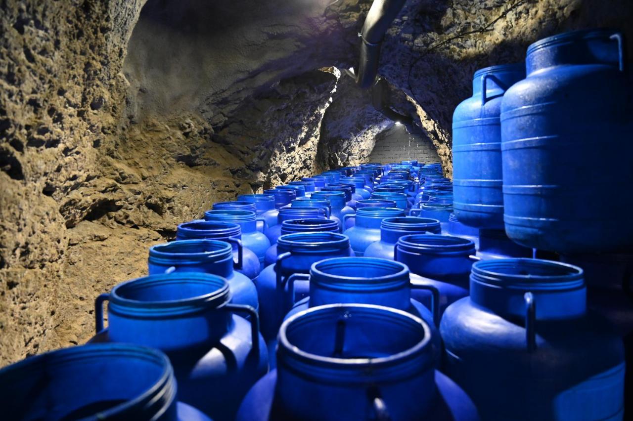 Valecska Palenice المظهر الخارجي الصورة