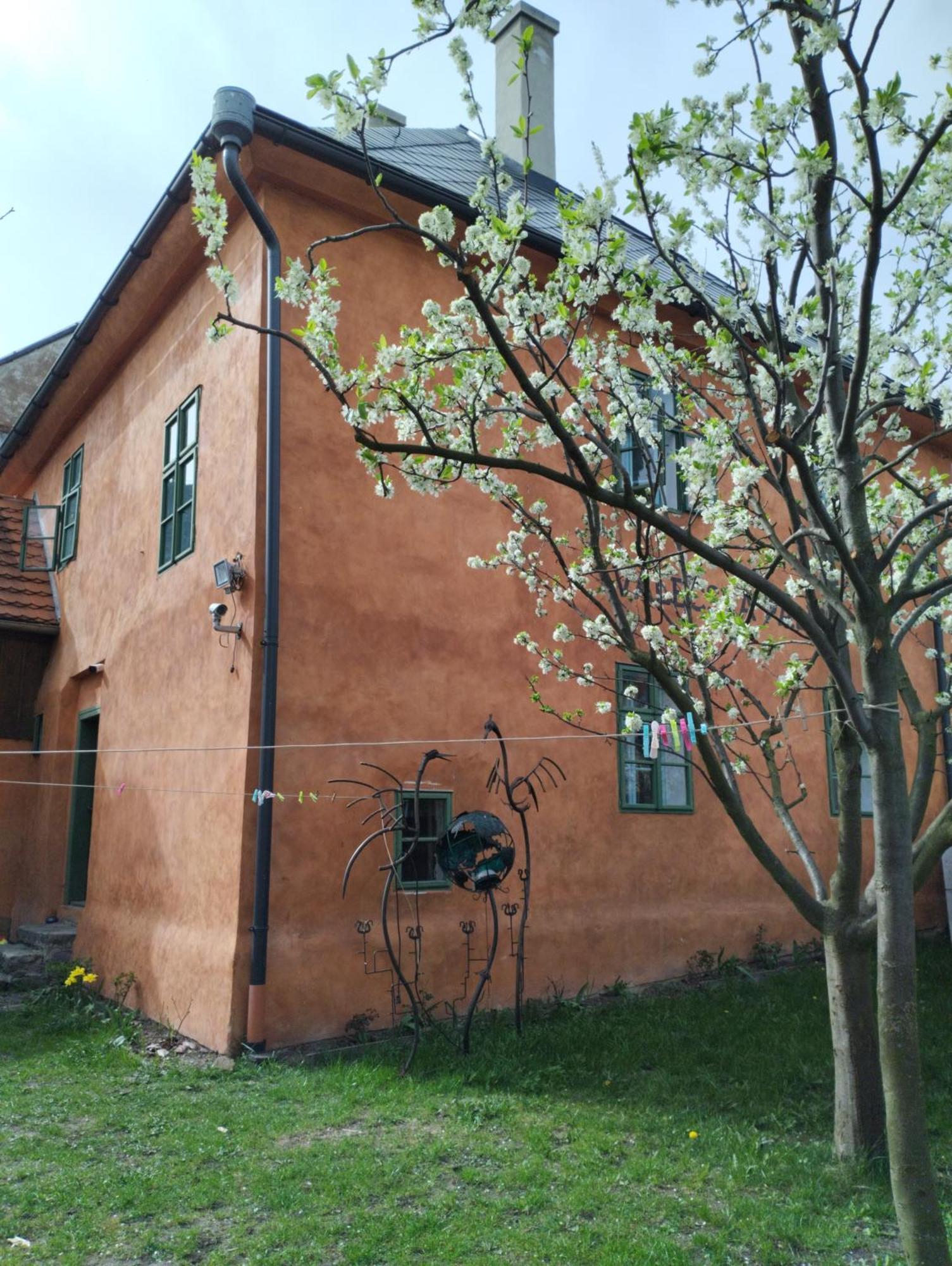 Valecska Palenice المظهر الخارجي الصورة